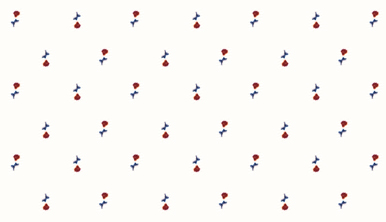 48926_00.jpg